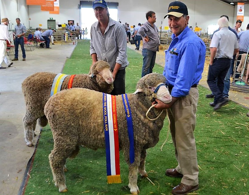 dad canberra ram